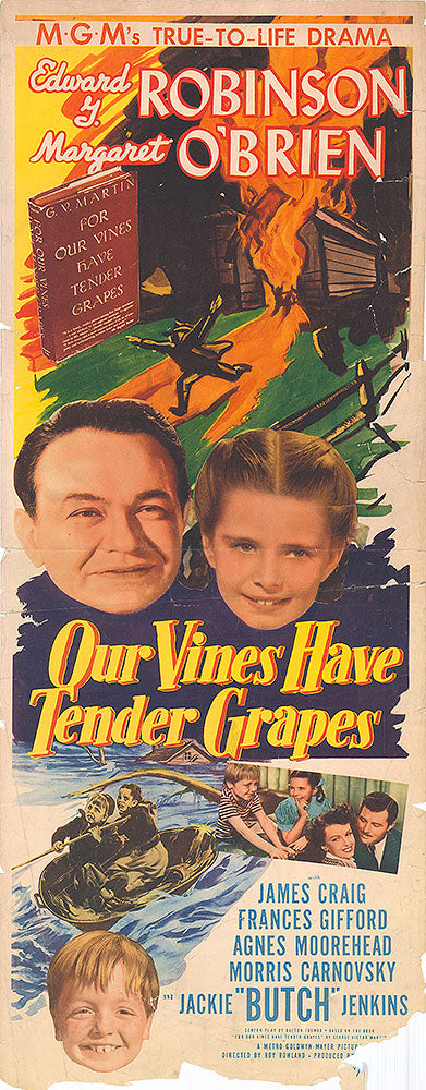 Cover image of Tender Grapes novel, representing life's delicate moments.