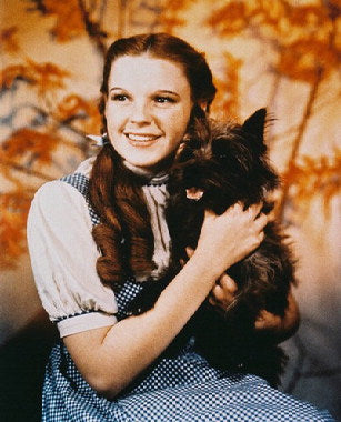 Judy Garland in a scene from Wizard of Oz, showcasing her iconic role as Dorothy.