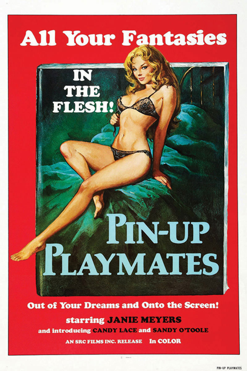 Vibrant pin-up art print showcasing vintage charm and modern flair