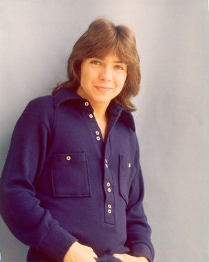 Close-up of David Cassidy's vinyl records showcasing his music collectibles.