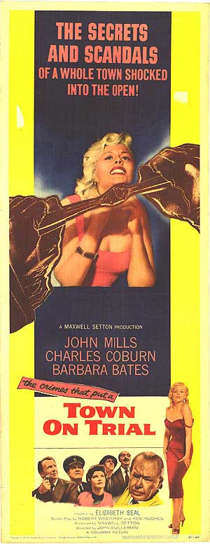 Cover of Town Under Investigation showing its captivating artwork and title.