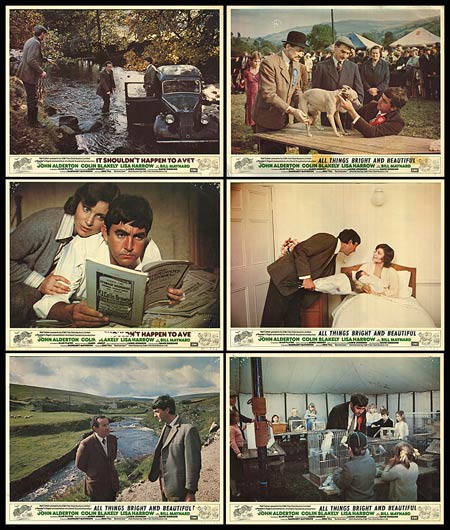 Cover of Tales from the Veterinary Life showing playful pets