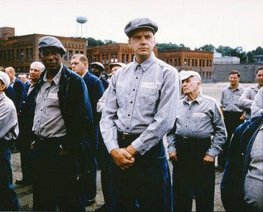 The Shawshank Redemption DVD cover featuring Tim Robbins and Morgan Freeman.