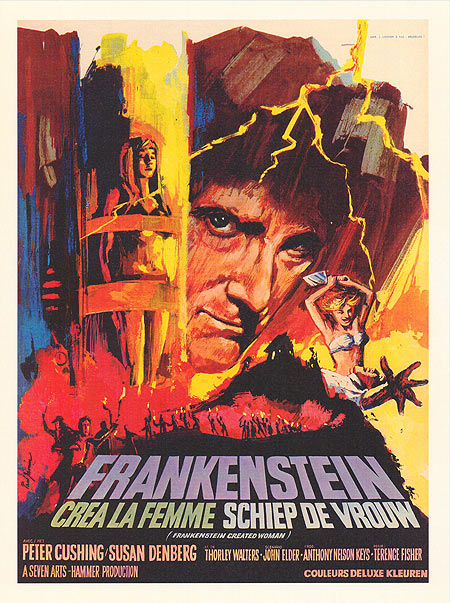Cover of Frankenstein's Creation: The Woman showcasing its Gothic elements.