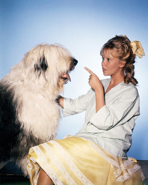 Collector's edition of Hayley Mills movies featuring classic films.