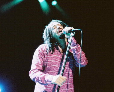 Counting Crows concert with enthusiastic fans enjoying the performance.