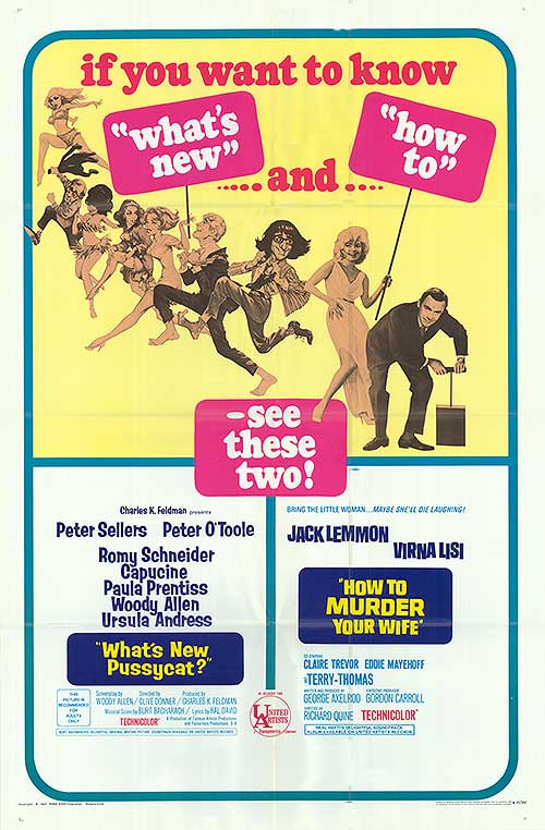 Close-up of the original What's New Pussycat movie poster from 1967, showcasing bold colors and vintage typography