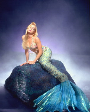 Traci Lords memorabilia showcasing her iconic adult films.