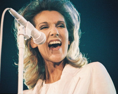 Celine Dion merchandise displayed at a store sale event