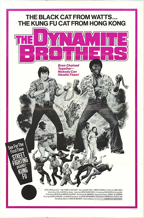Dynamite Brothers DVD cover featuring iconic martial arts scenes