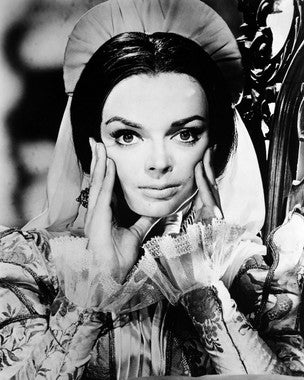 Barbara Steele Radiance Skin Care product showcasing its elegant packaging and texture.