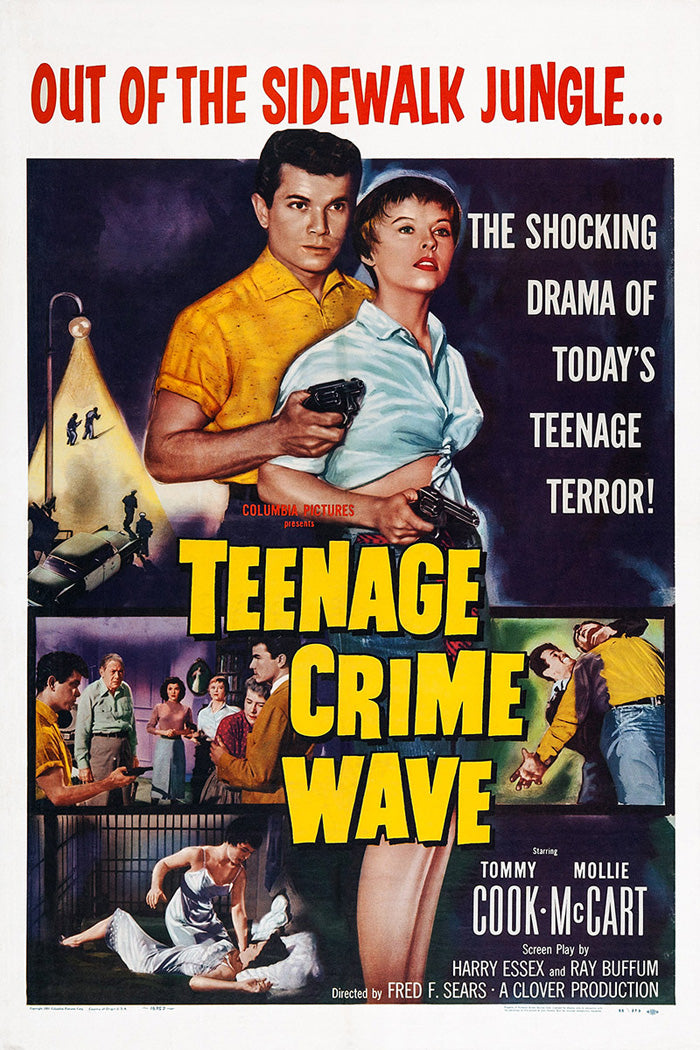 Teen-Age Crime Wave vintage movie poster showcasing vibrant colors and classic design.