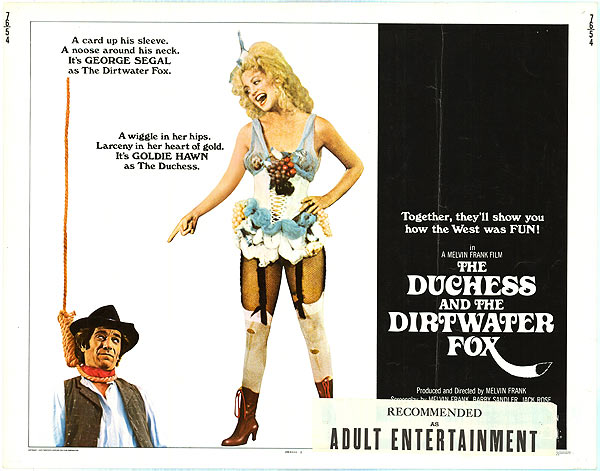 Cover image of Duchess and the Dirtwater Fox showcasing its enchanting design and historical theme.