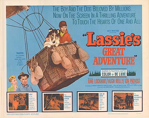 Cover of Lassie's Amazing Adventure featuring vibrant illustrations and adventure themes