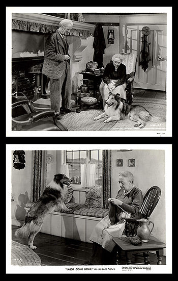 Lassie Come Home DVD collection featuring classic family movies on DVD