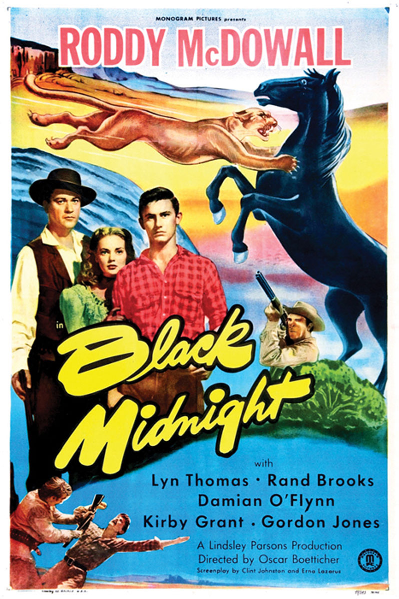 Close-up of Black Midnight giclee canvas print showing detailed artwork