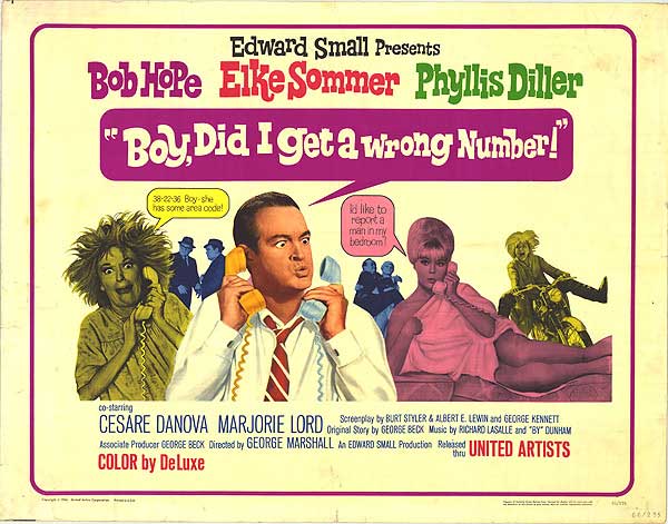 Book cover of Boy Did I Get A Wrong Number, a funny humor novel for adults
