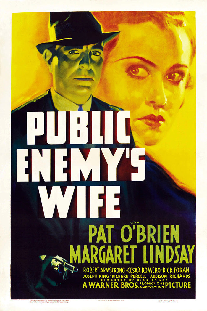 Public Enemy's Wife giclee print displayed in a modern living room.