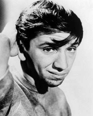 The Many Loves of Dobie Gillis DVD cover showcasing Bob Denver in a vintage setting.