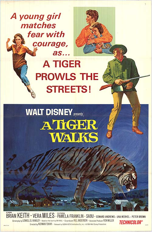 Dog wearing PawSafe Tiger Walks accessories during a walk in the park.