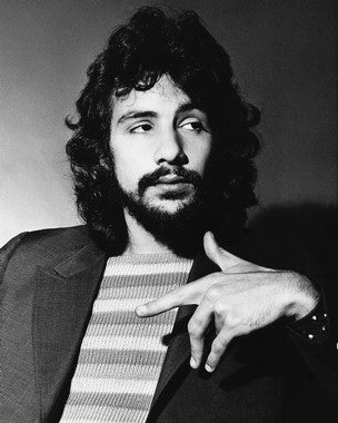 Cover art of Cat Stevens' greatest hits album, showcasing his iconic style.