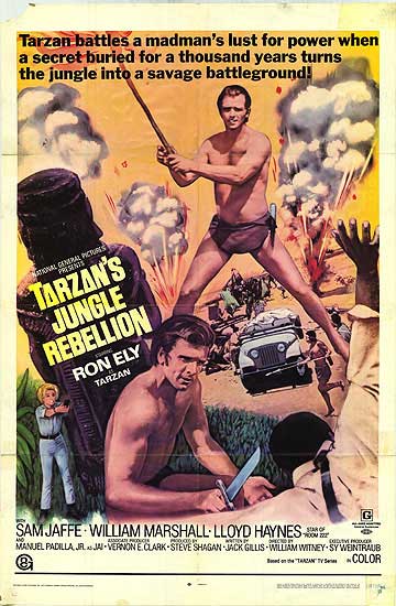Cover of Tarzan: The Jungle Rebellion showcasing Tarzan in action.