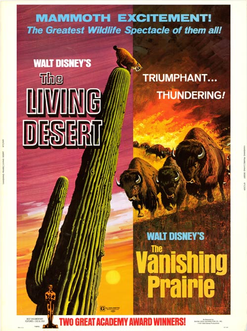 Stunning desert landscape artwork showcasing vibrant colors and wildlife
