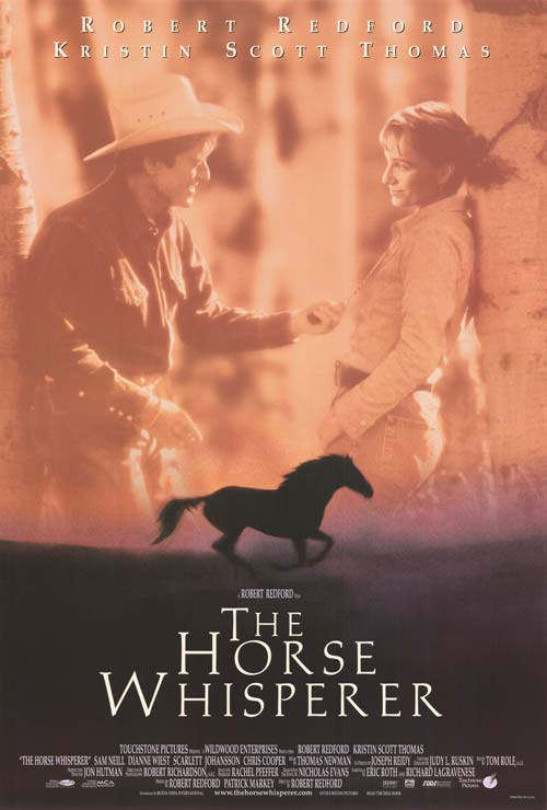 Horse training session using equine behavior tools for effective communication.