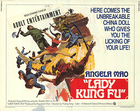 Lady Kung Fu censor sticker applied on wall for kids' room decoration