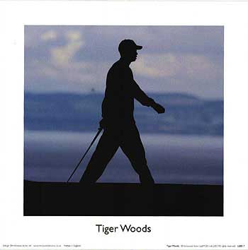Close-up of Tiger Heater wood stove with glowing fire
