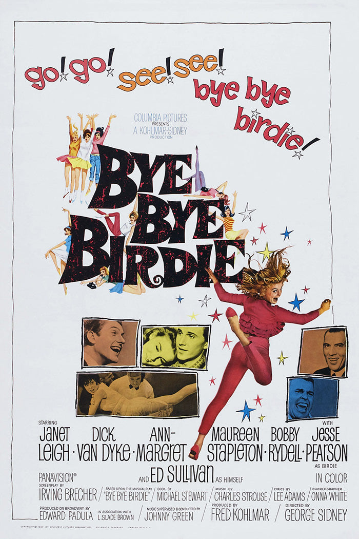 Angled view of Bye Bye Birdie giclee print canvas wall art hanging above a cozy couch.