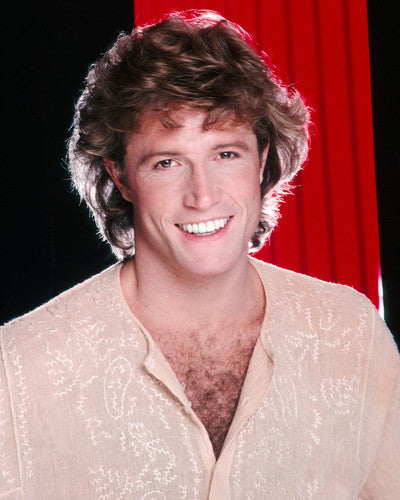 Vintage Andy Gibb vinyl record with classic rock memorabilia