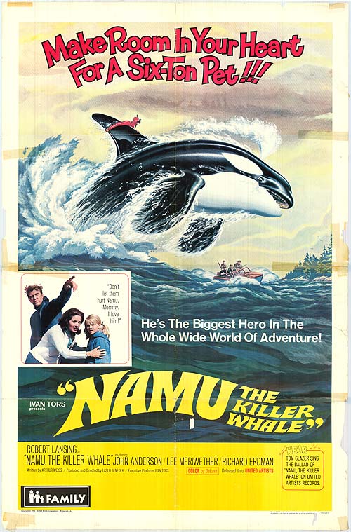 Namu the killer whale plush toy displayed in a child's room, showcasing its vibrant colors.