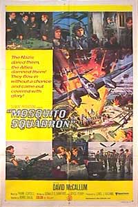 Close-up of the Mosquito Squadron printed poster showing detailed frayed edges and vintage design