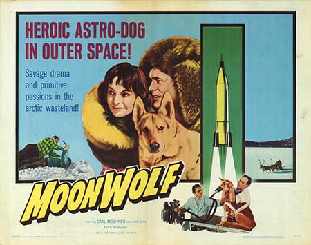 Close-up of Moonwolf vintage memorabilia showing minor tear and stains