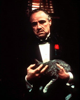Marlon Brando iconic movie poster from The Godfather, displayed in a vintage frame.