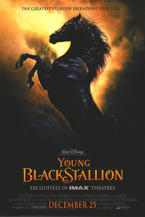 Elegant Black Stallion glossy jewelry for men, front view