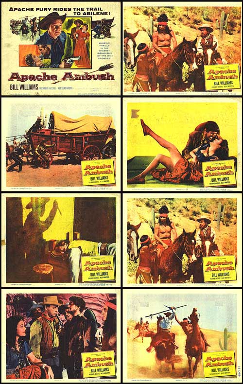 Close-up of Apache Ambush collectible photo cards showing vibrant images on the front.
