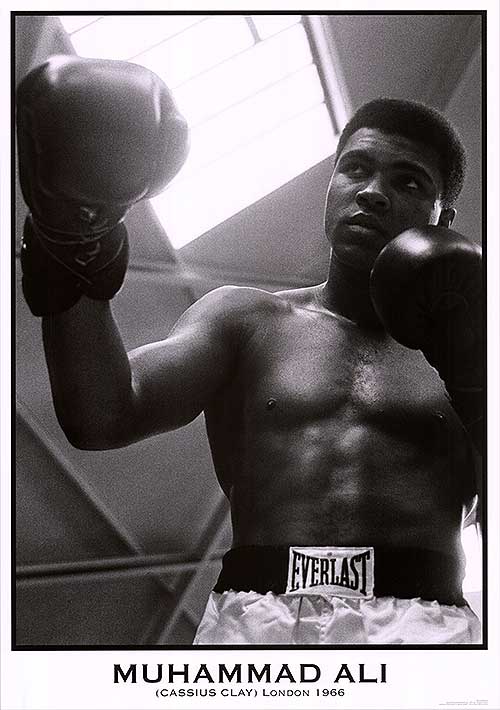 Close-up of cheap Muhammad Ali autographed gloves showcasing signature detail.