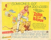 Zebra Kitchen Essentials set including various kitchen utensils.