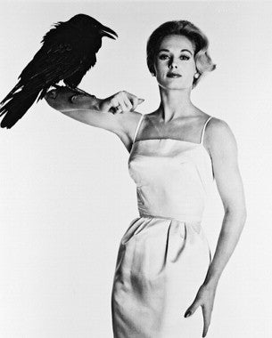 Elegant Tippi Hedren fashion jewelry displayed on a black velvet surface, showcasing unique statement pieces.