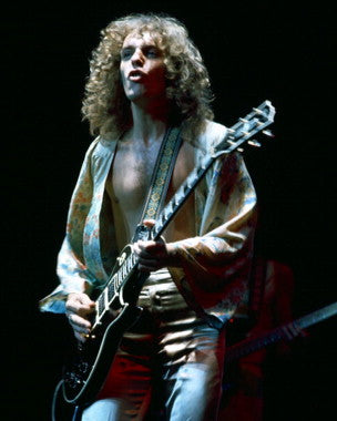 Peter Frampton vinyl record showcasing the album cover art