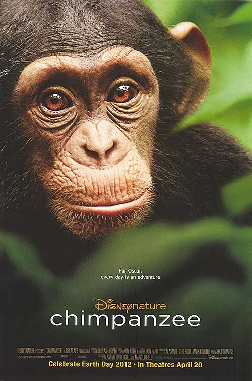 Close-up of handcrafted chimpanzee figurine with detailed facial features