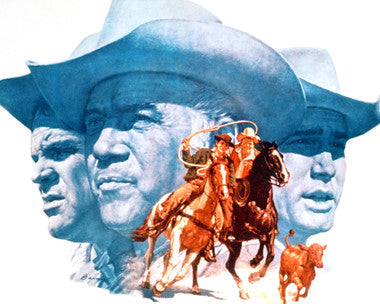 Bonanza DVD collection featuring Western scenes and cast members