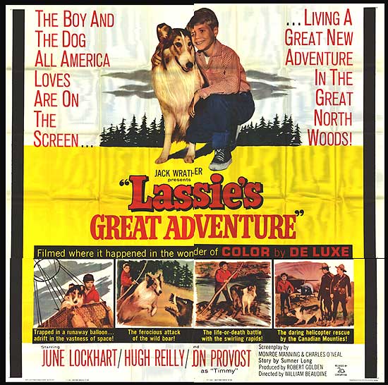 Cover of Lassie's Forest Quest showing Lassie exploring a magical forest, ideal for early readers.