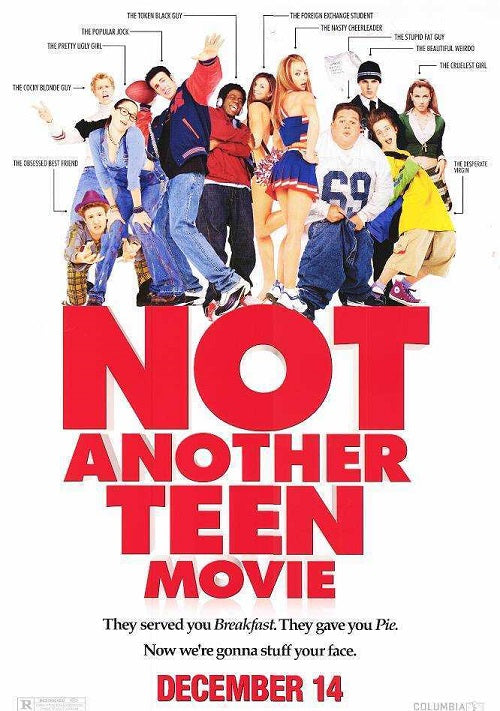 DVD cover of Not Another Teen Movie showcasing its comedic style and vibrant characters.
